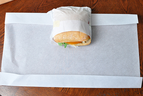 Sandwich Bag 6